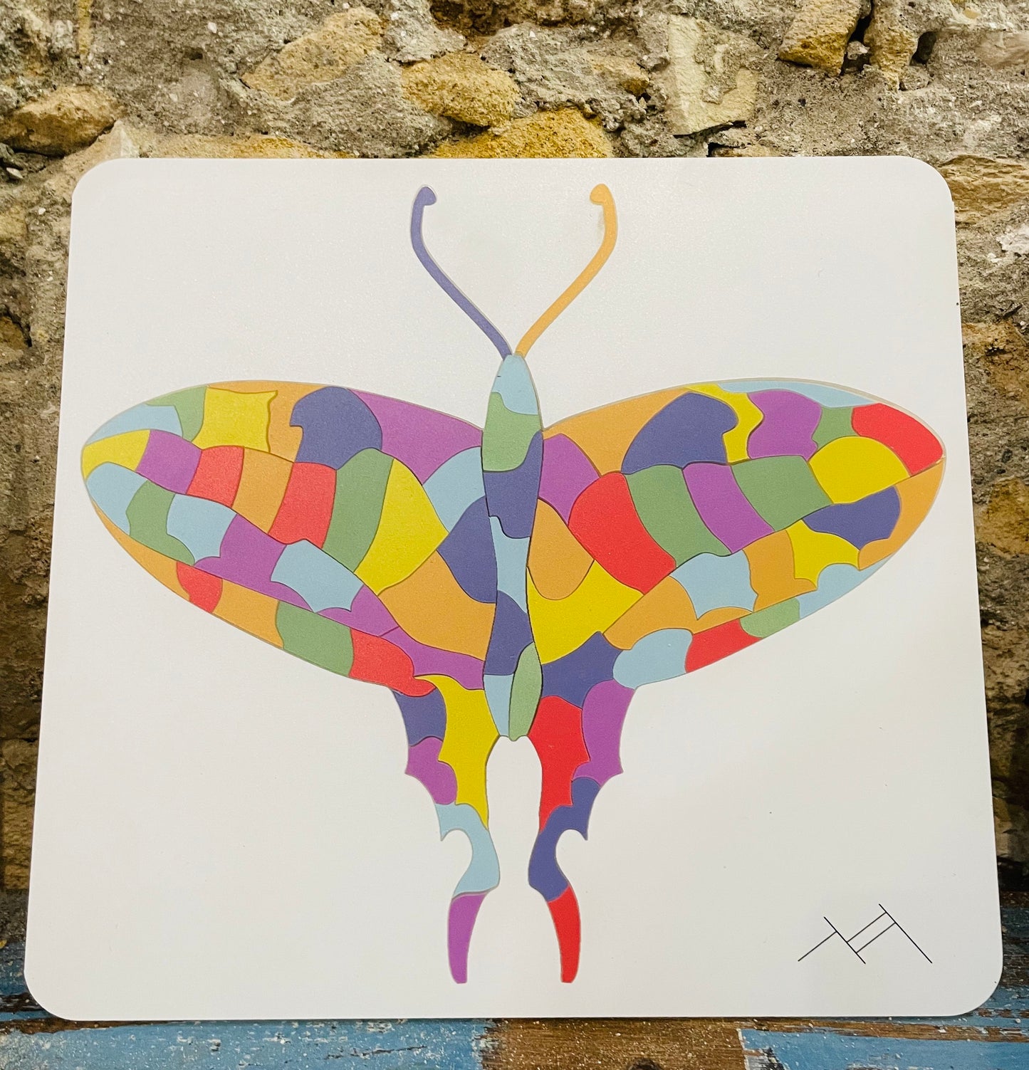 Enigmatic Butterfly