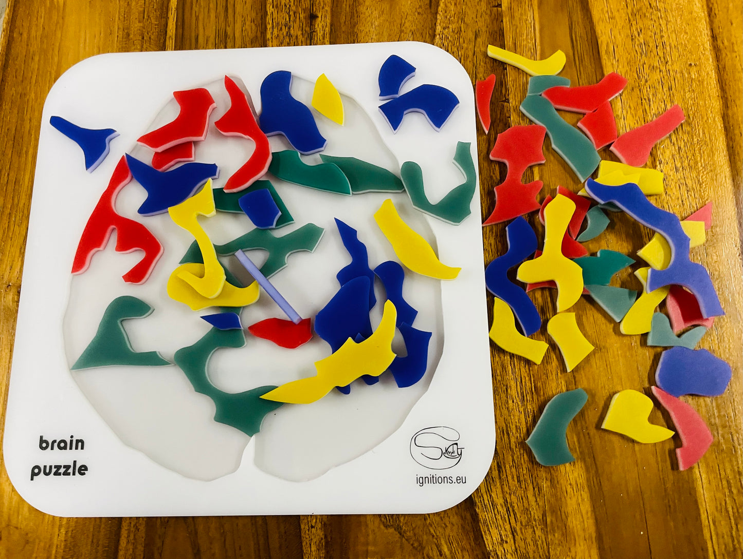 Brain Puzzle
