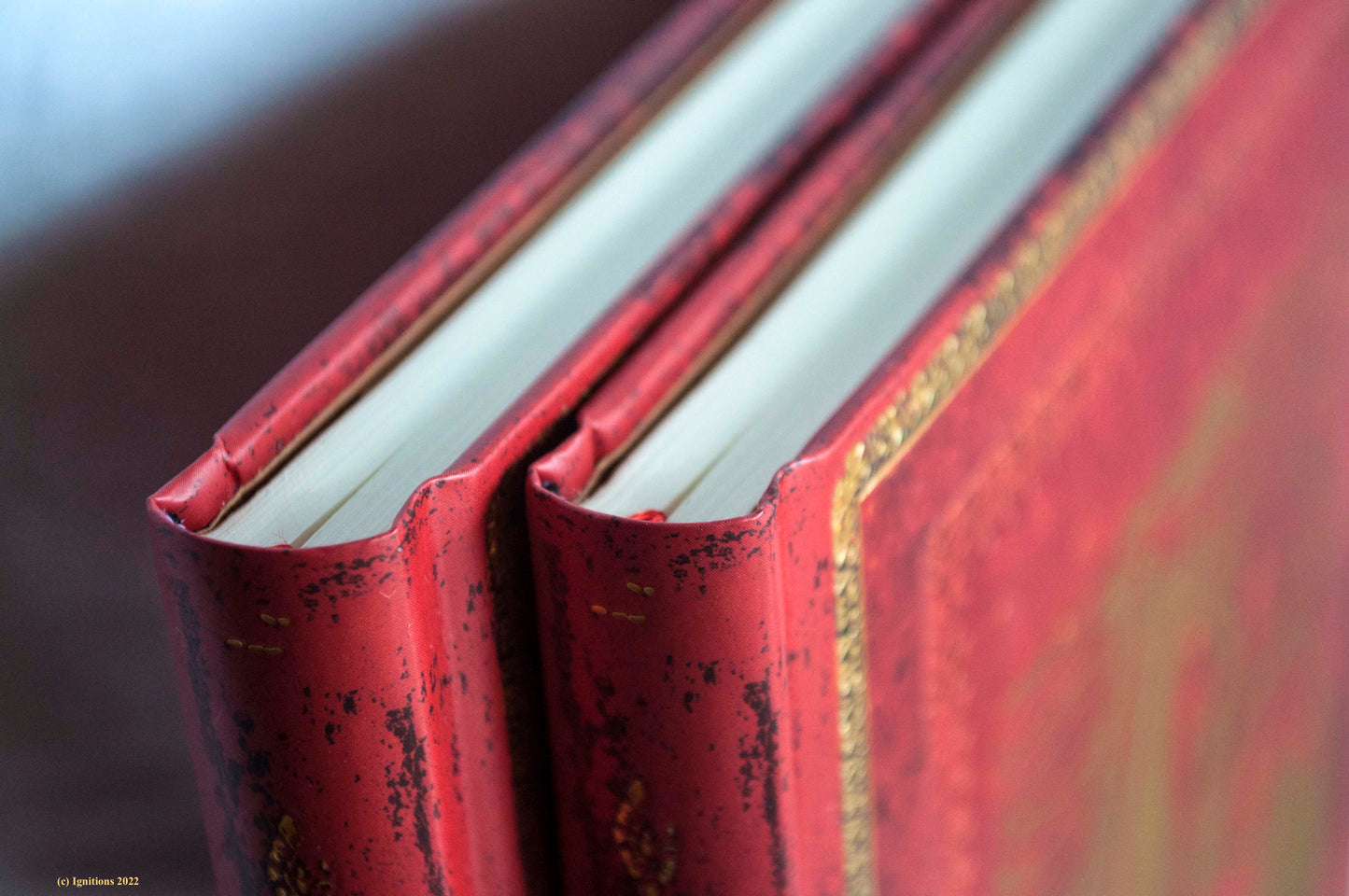 N. Lygeros - Time and Mankind. Paperblank Hardcover Journals – Old Leather Classics