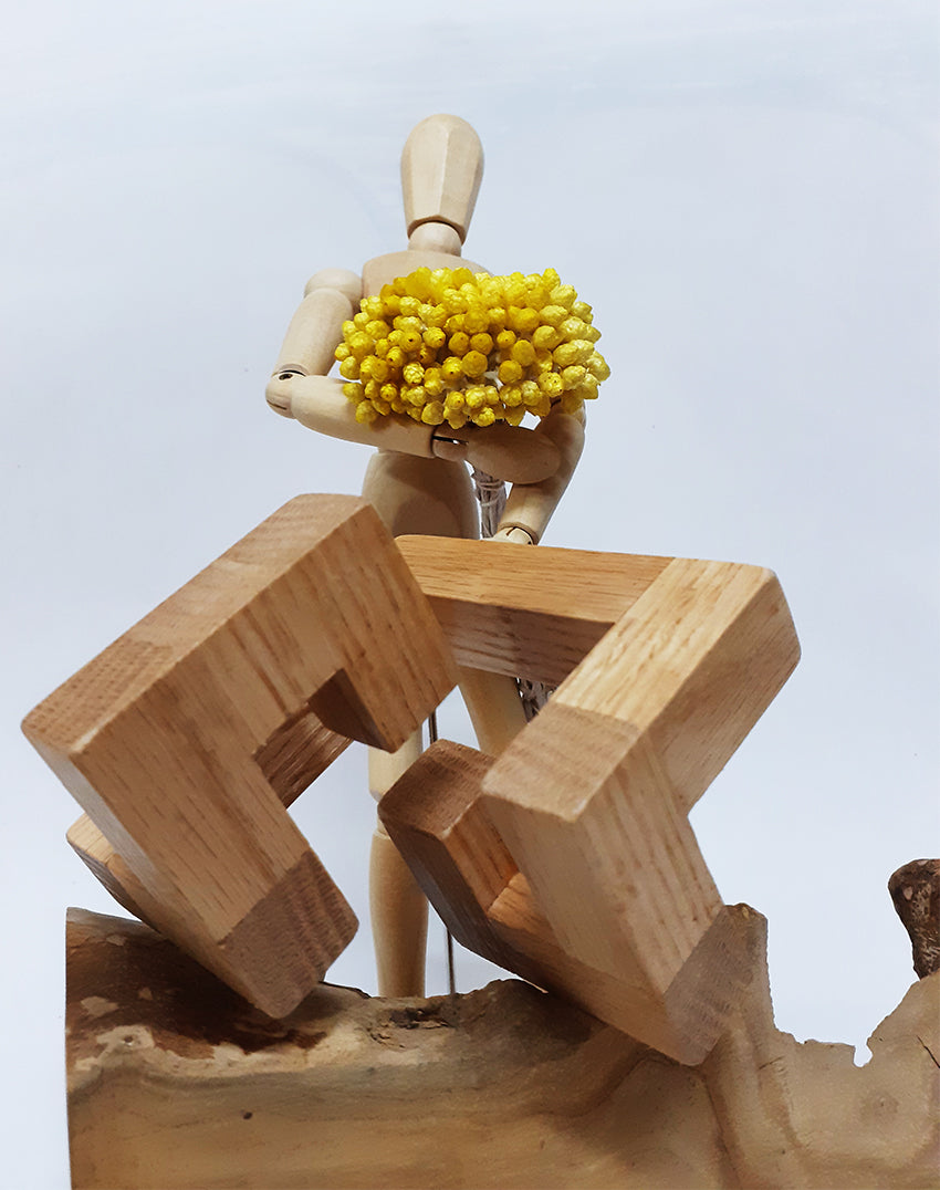 Dendromino