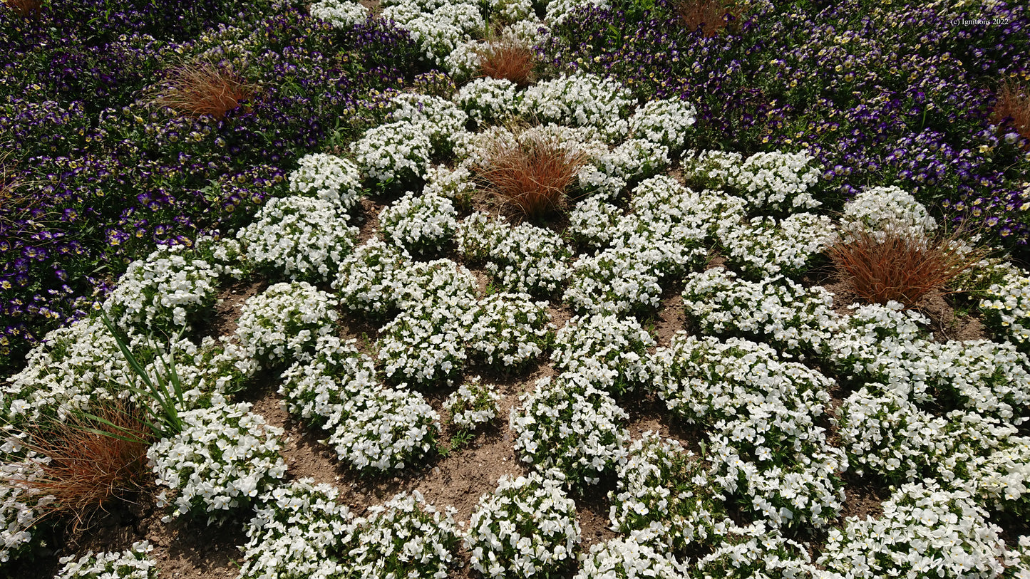Pièces de printemps