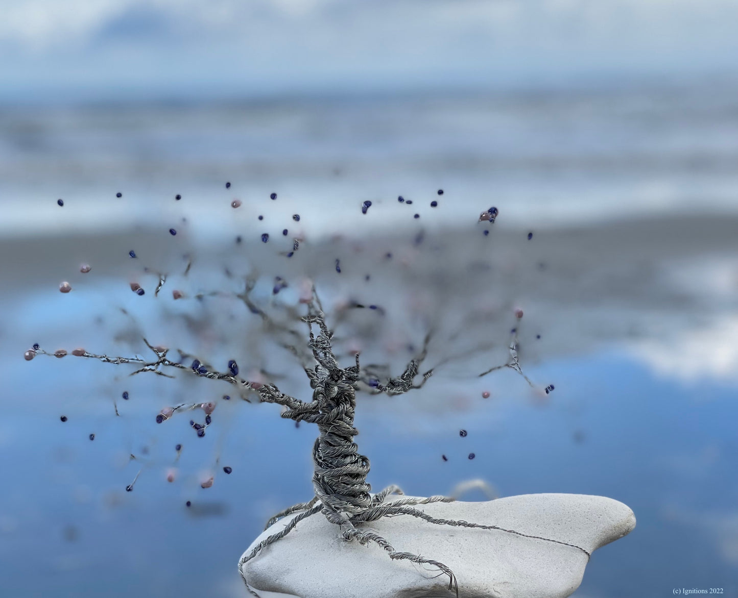 Bonsai II