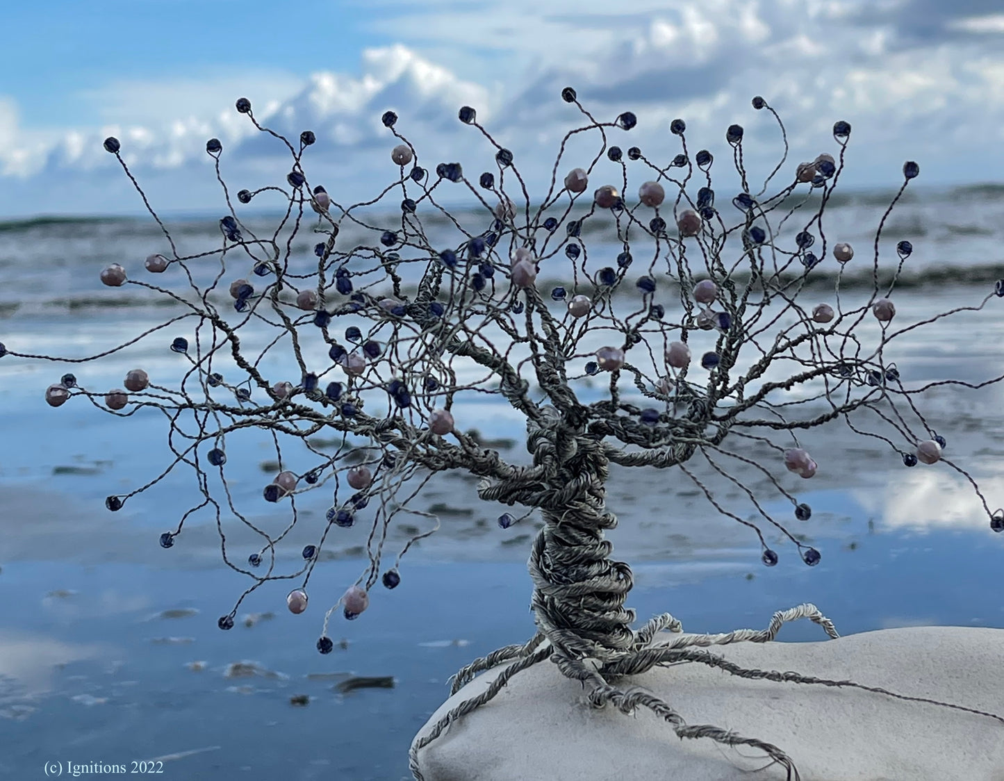 Bonsai II