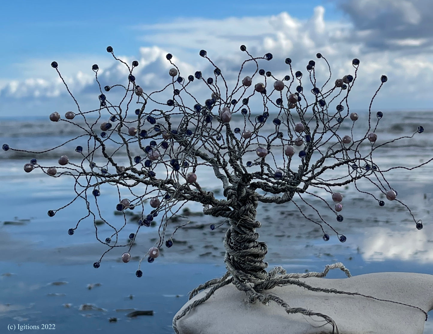 Bonsai II
