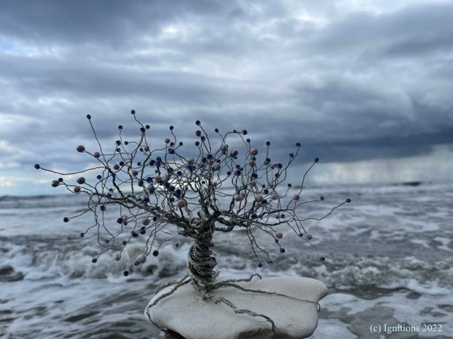 Bonsai II