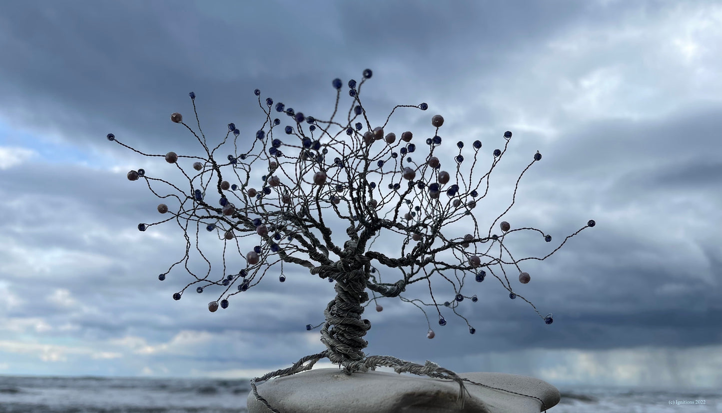 Bonsai II