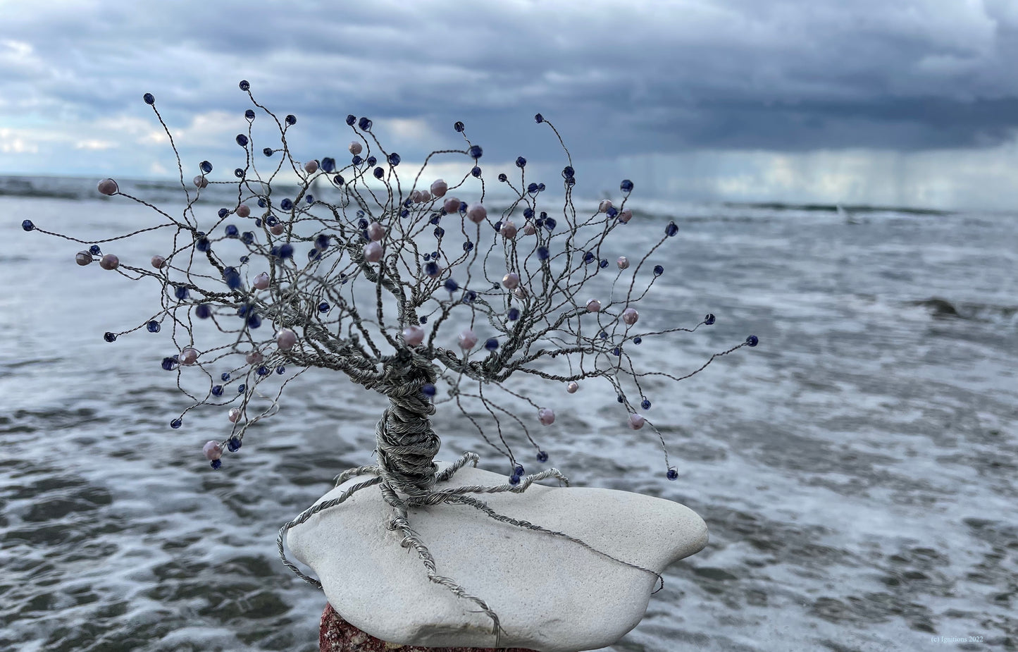 Bonsai II