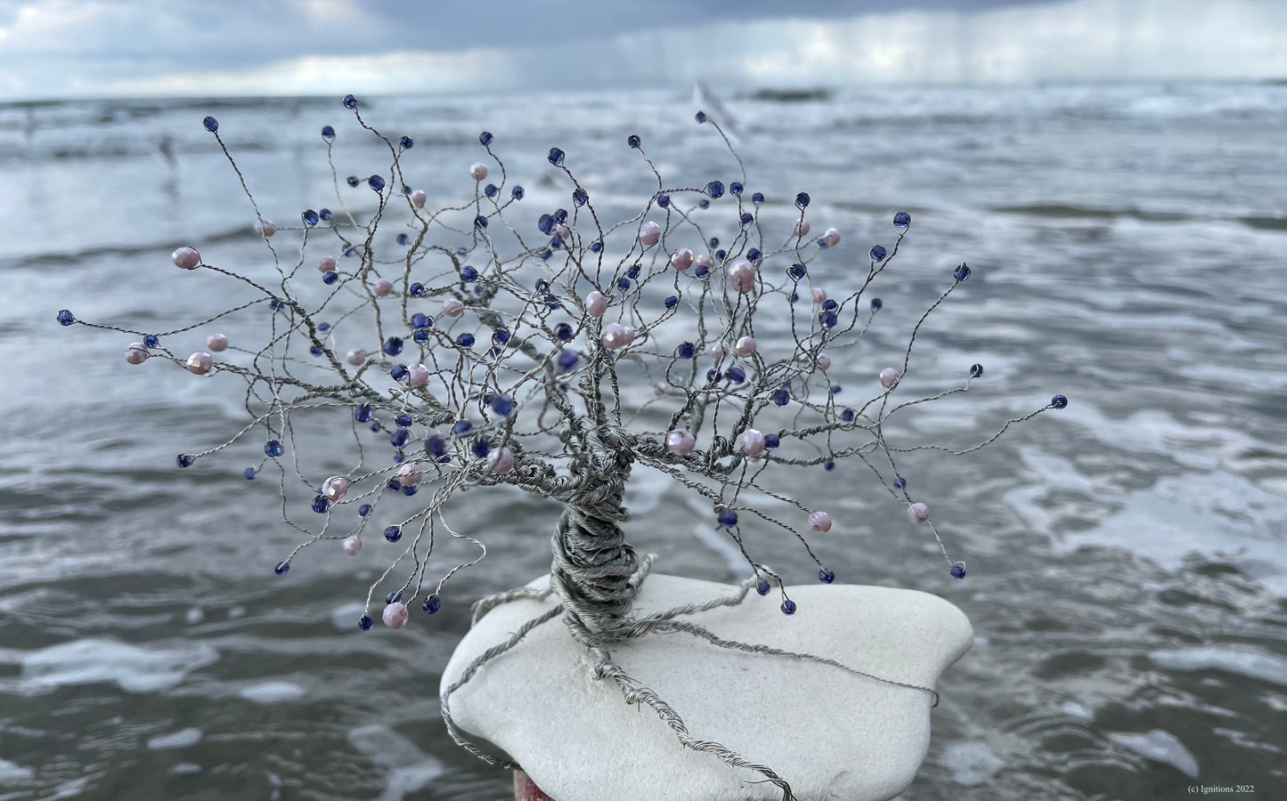 Bonsai II