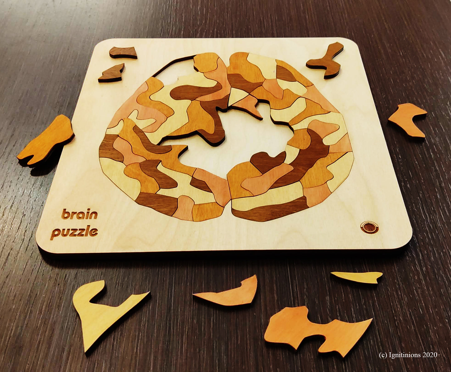 Brain Puzzle