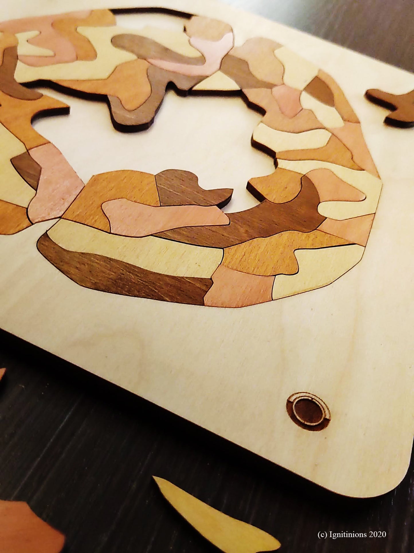 Brain Puzzle