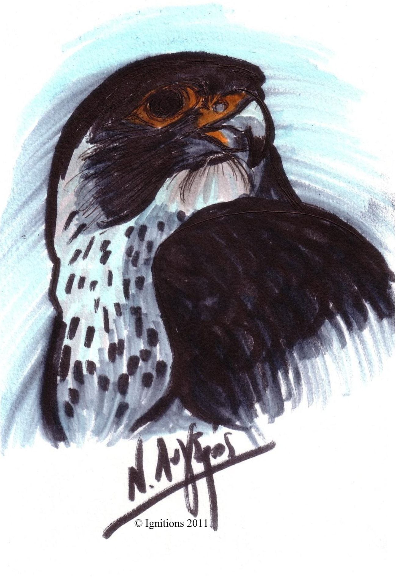 Faucon maltais