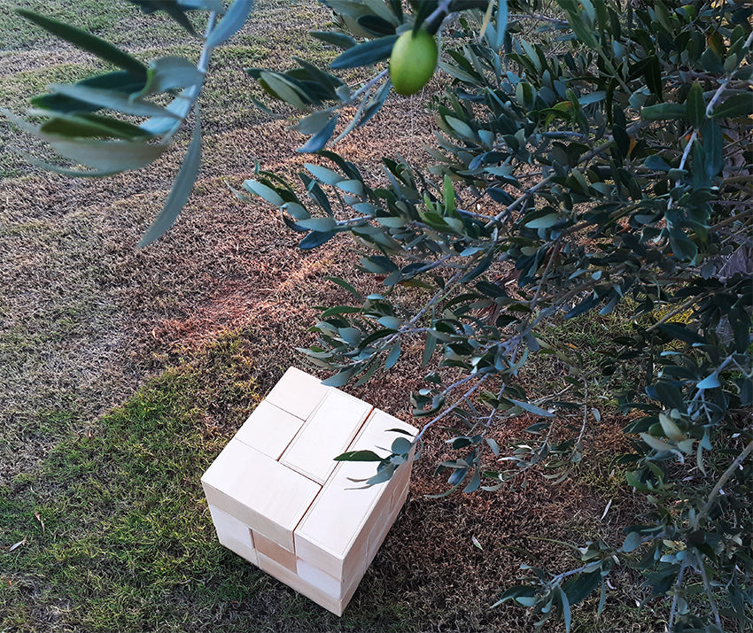 Human Cube