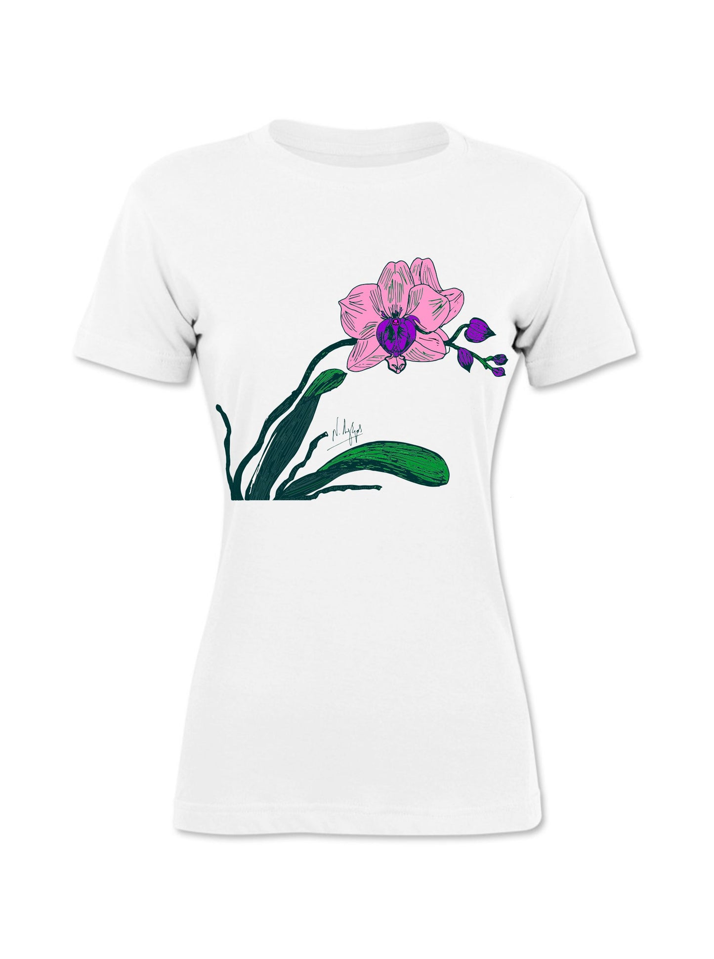 Orchidée phalaenopsis