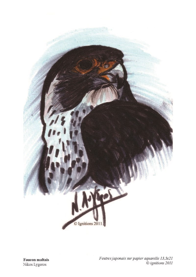 Faucon maltais