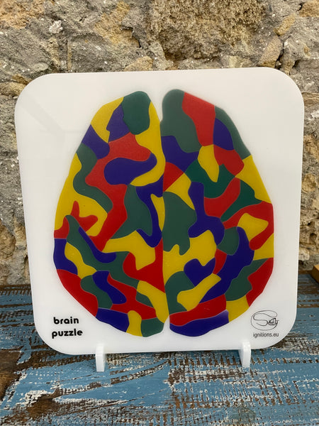 Brain Puzzle