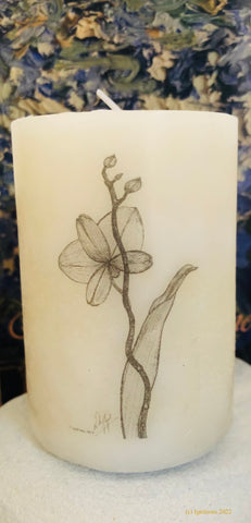 Ορχιδέα (Dos d’une orchidée phalaenopsis) Αρωματικό κερί